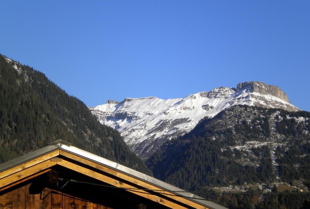 Photo of Others in Beaufort