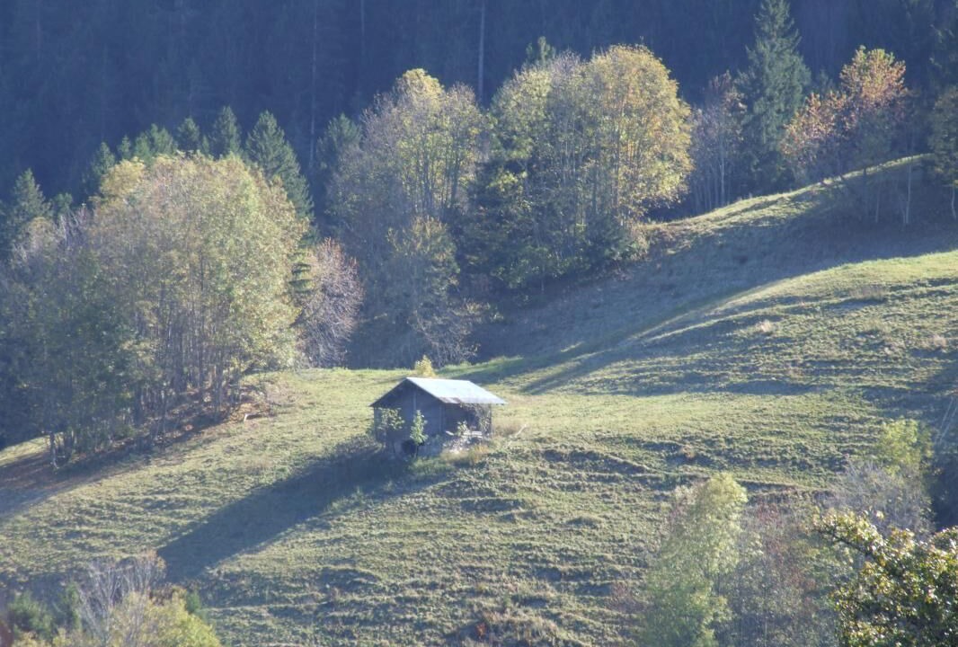 Photo of Others in Beaufort