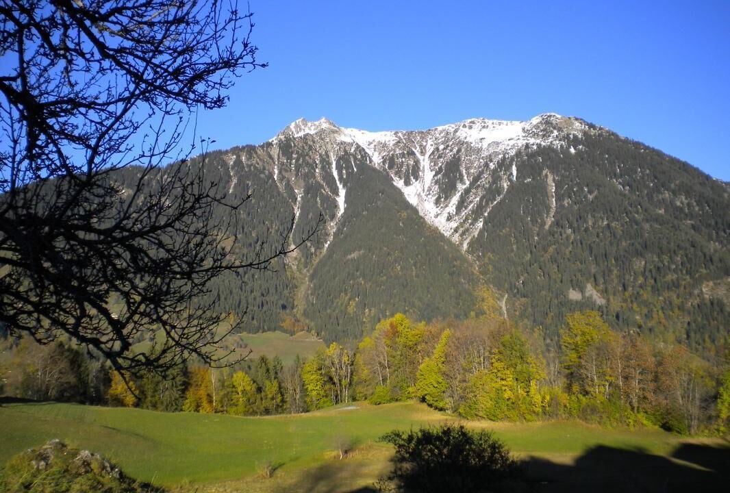 Photo of Others in Beaufort