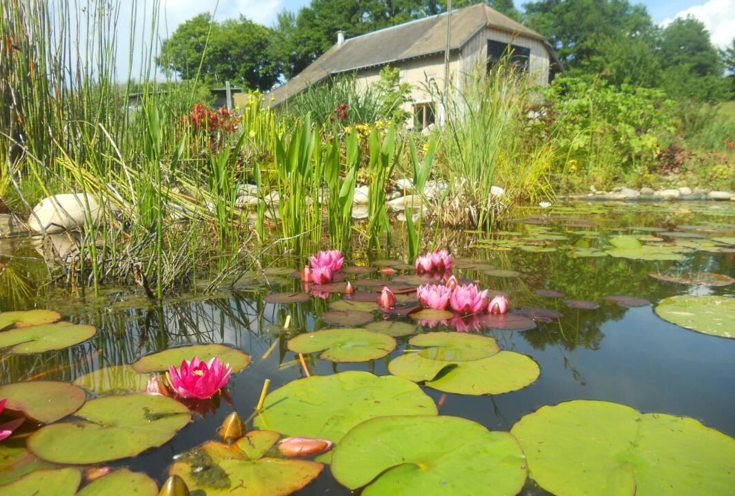 Photo of Outdoor in Vimines