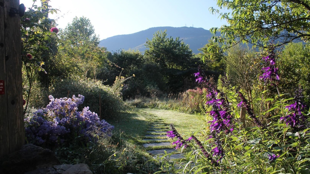 Photo of Outdoor in Vimines