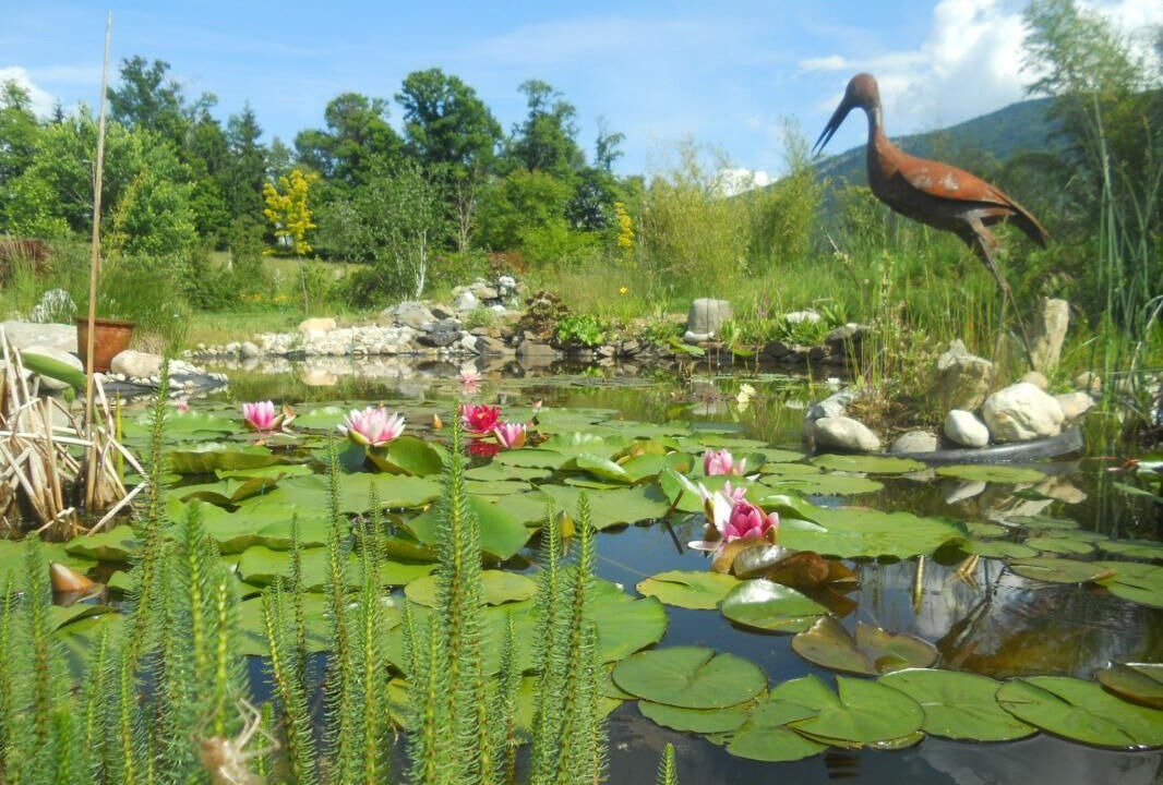 Photo of Outdoor in Vimines