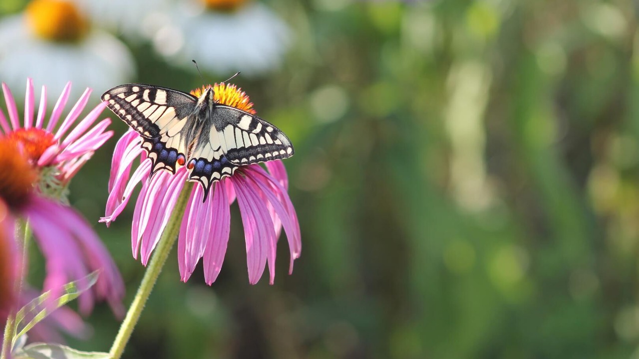 Photo of Others in Vimines