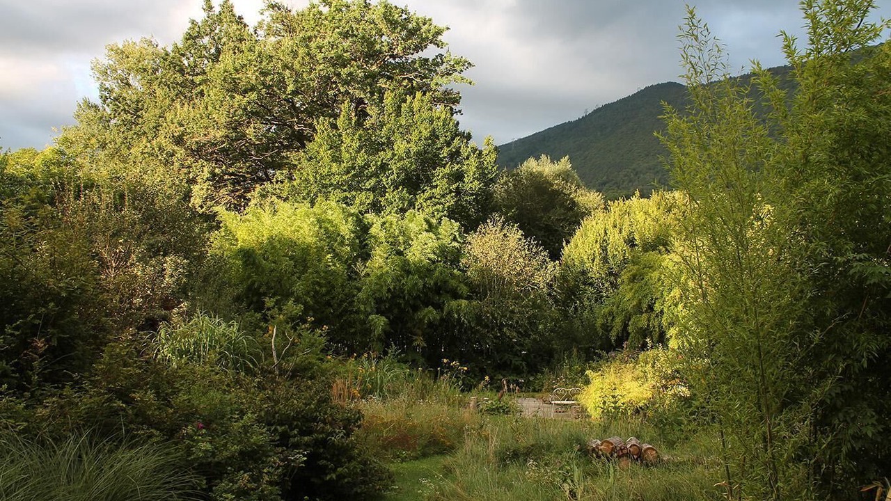 Photo of Others in Vimines