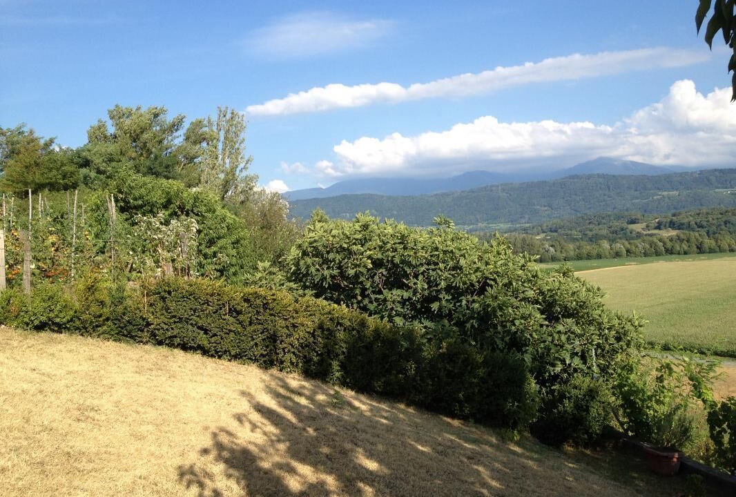 Photo of Outdoor in Francin