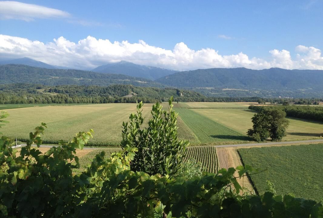 Photo of Others in Francin