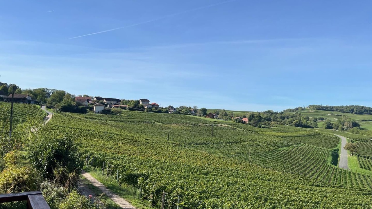 Photo of Others in Jongieux