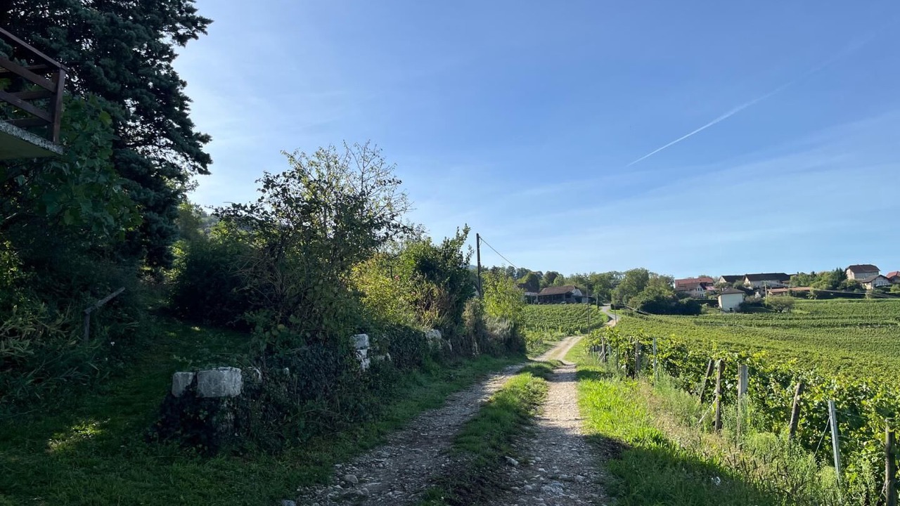 Photo of Others in Jongieux