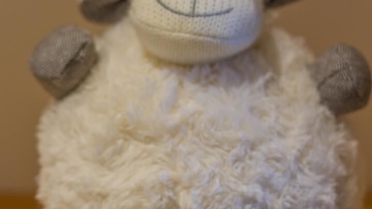 Photo of Others in Lanslevillard