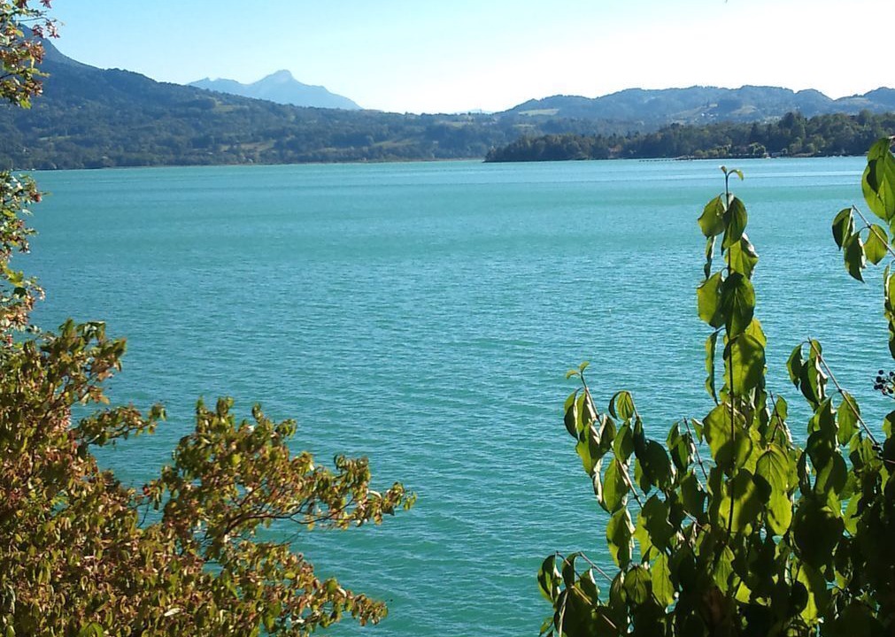 Photo of Outdoor in Nances