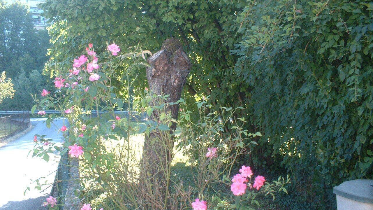 Photo of Outdoor in Cognin