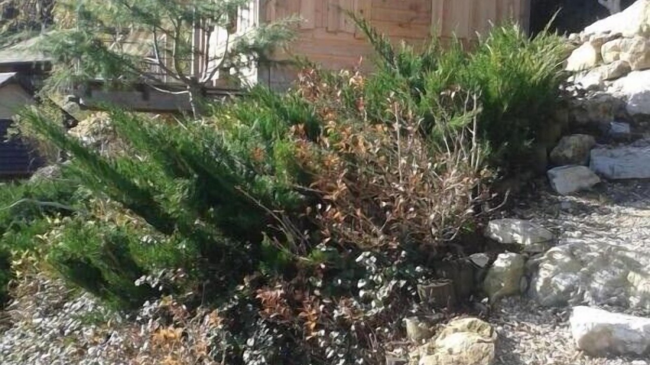 Photo of Outdoor in Novalaise