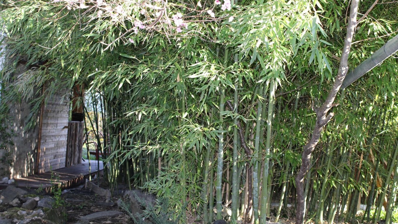 Photo of Outdoor in Barby