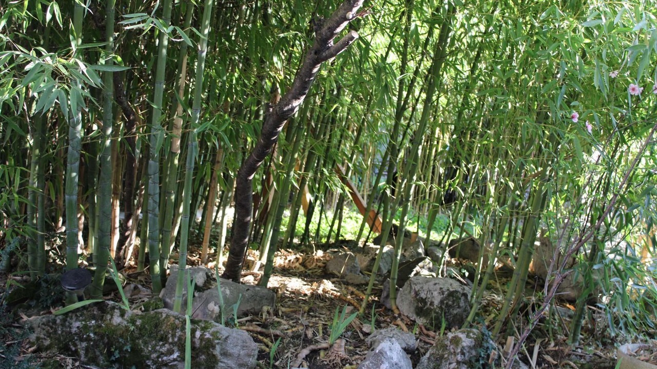 Photo of Outdoor in Barby