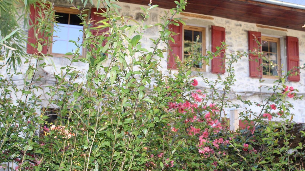 Photo of Outdoor in Barby