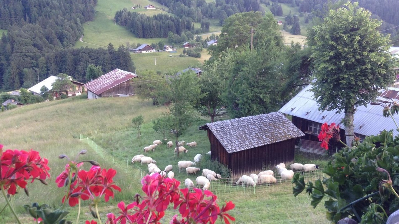 Photo of Outdoor in Flumet