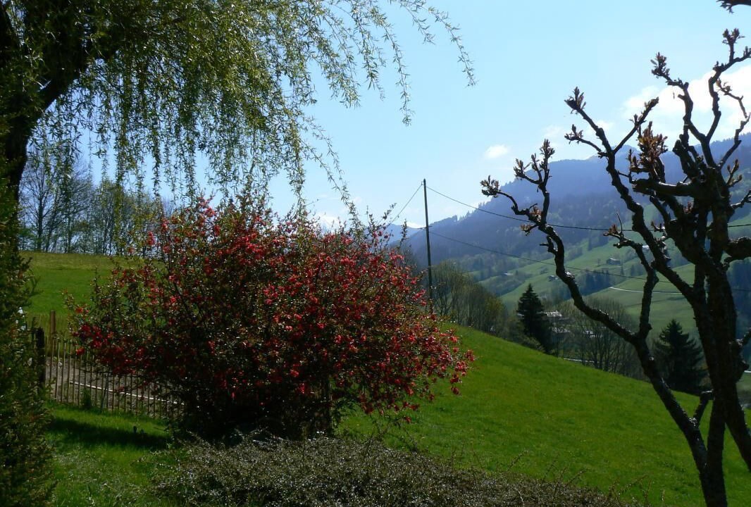 Photo of Outdoor in Flumet