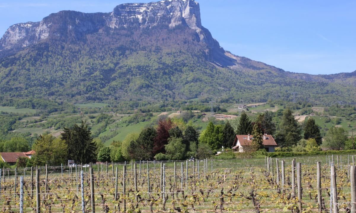 Photo of Outdoor in Les Marches