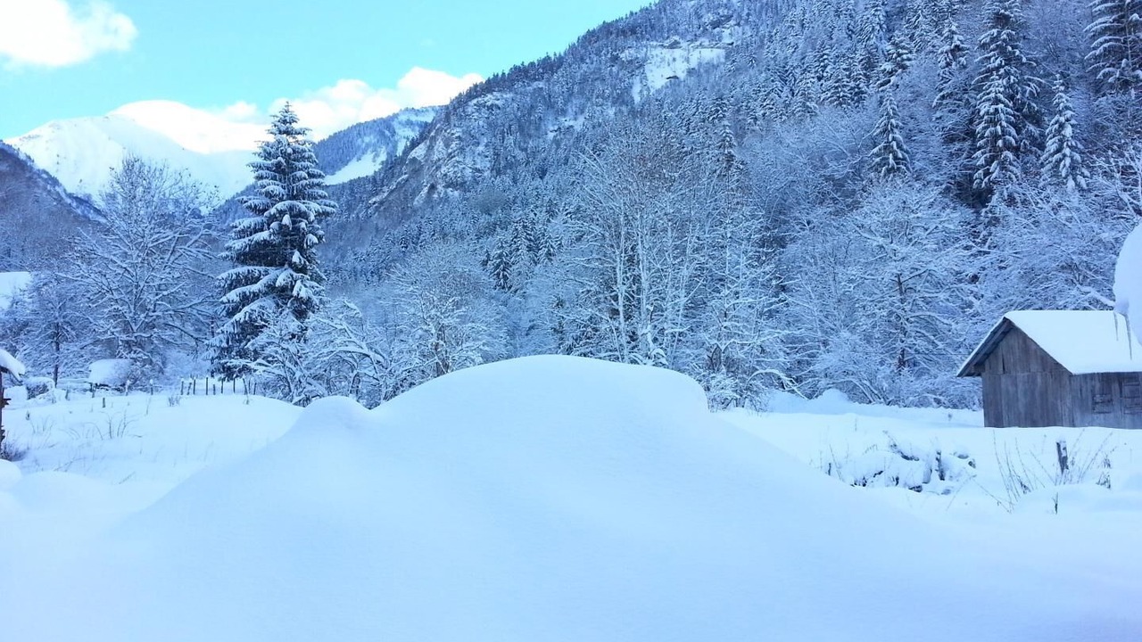 Photo of Outdoor in Jarsy