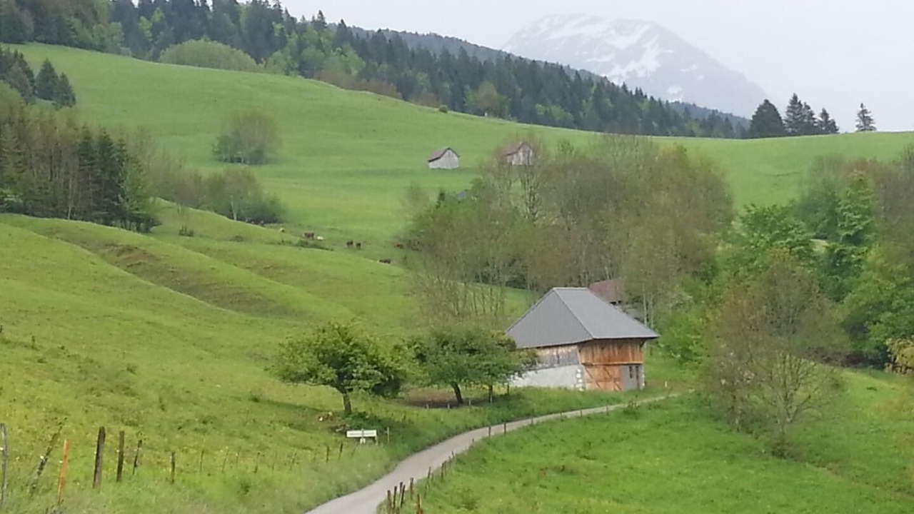 Photo of Outdoor in Jarsy