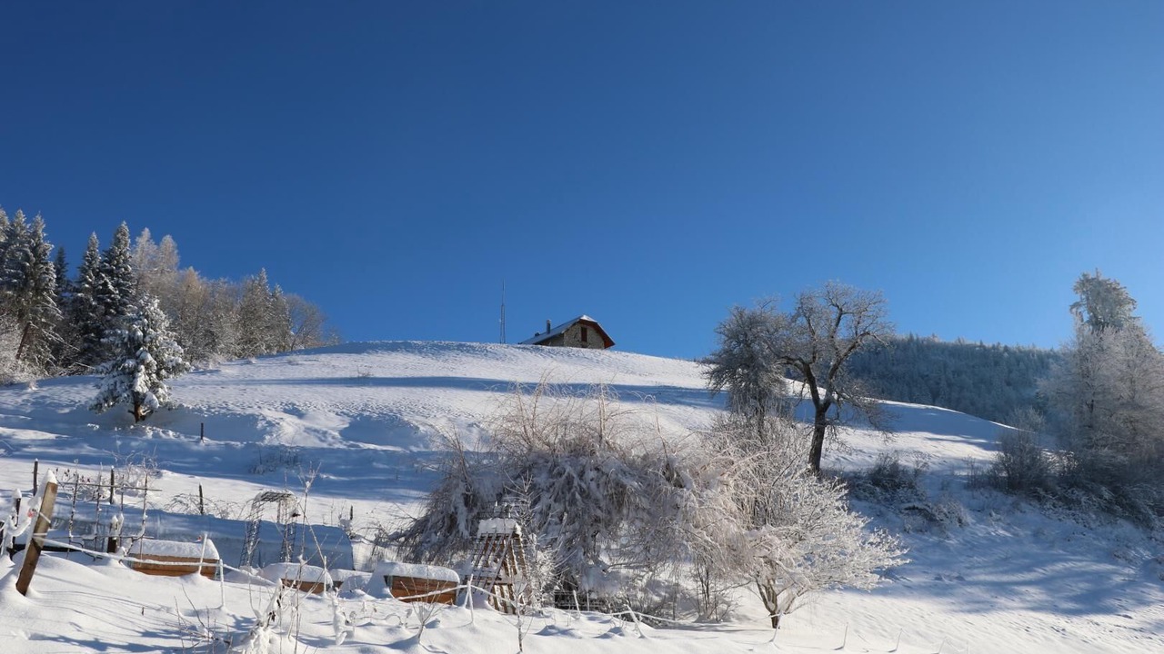 Photo of Others in Le Chatelard