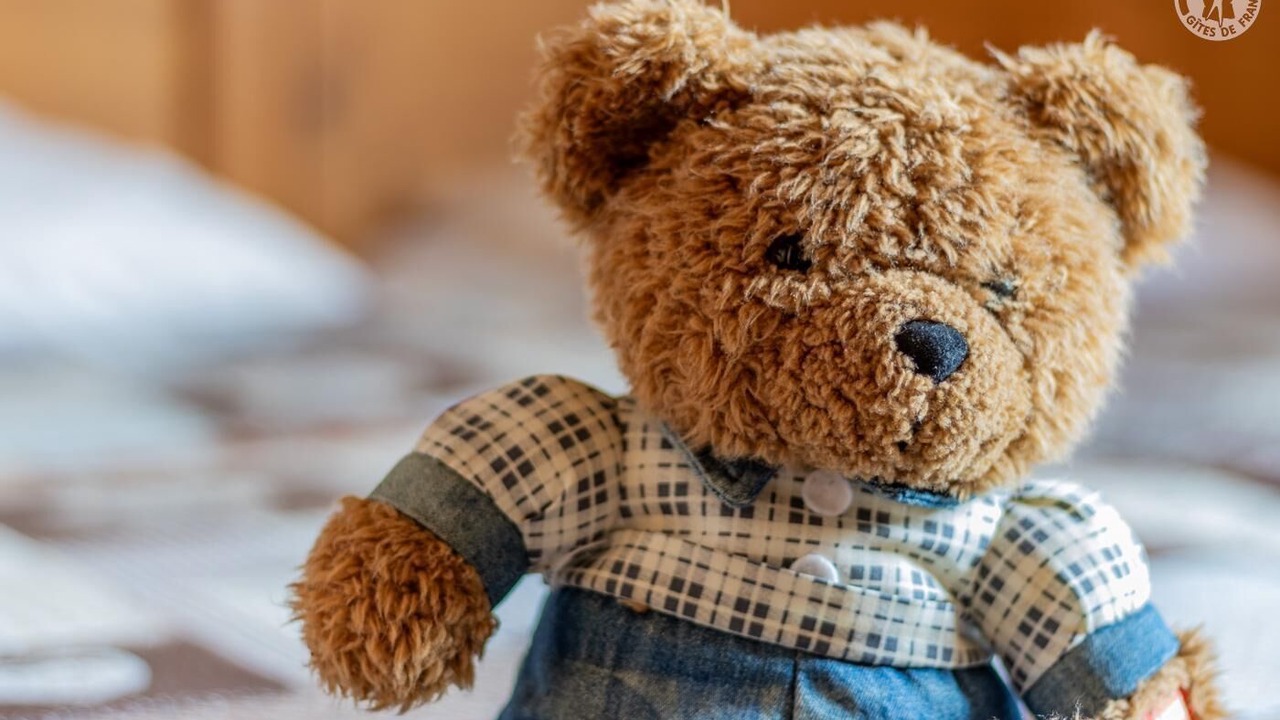 Photo of Bedroom in Montagnole