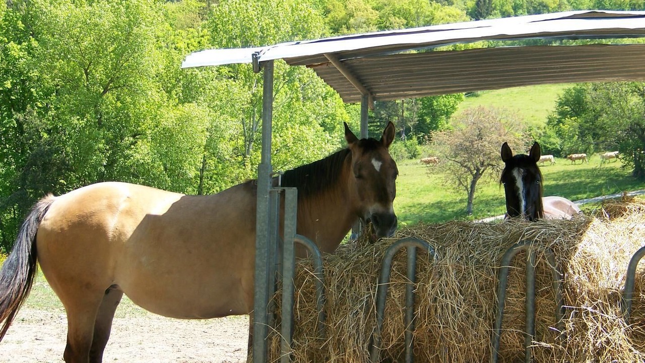 Photo of Outdoor in Saint-Paul