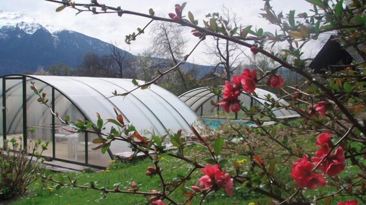 Photo of Outdoor in Clery