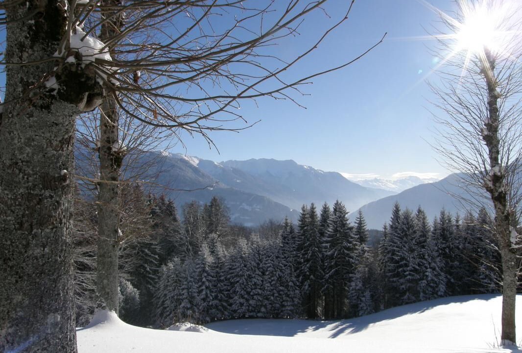 Photo of Others in Allondaz