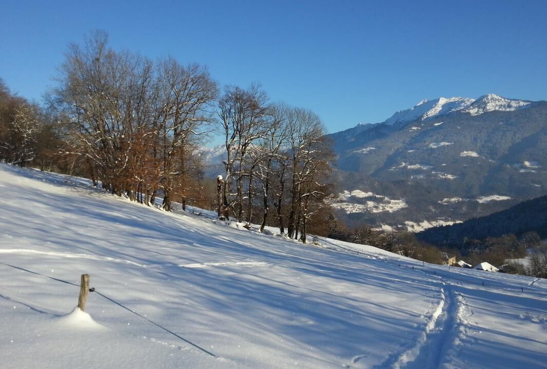 Photo of Others in Allondaz