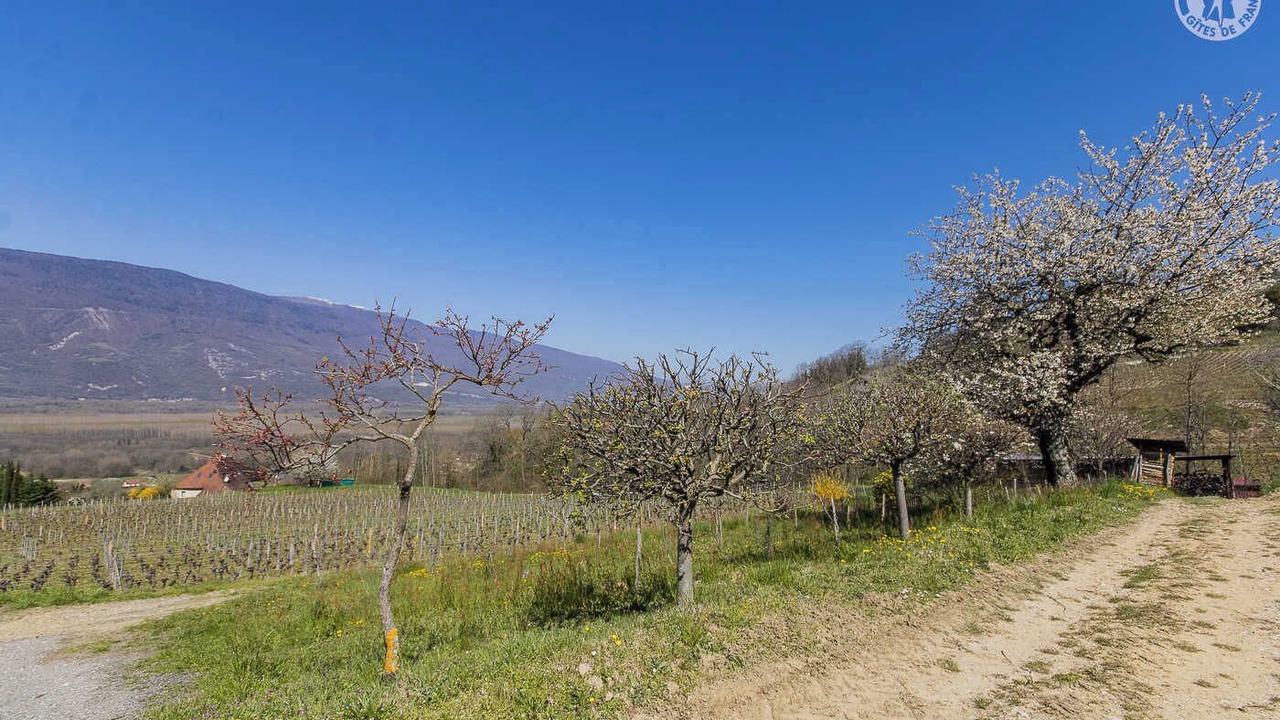 Photo of Others in Ruffieux