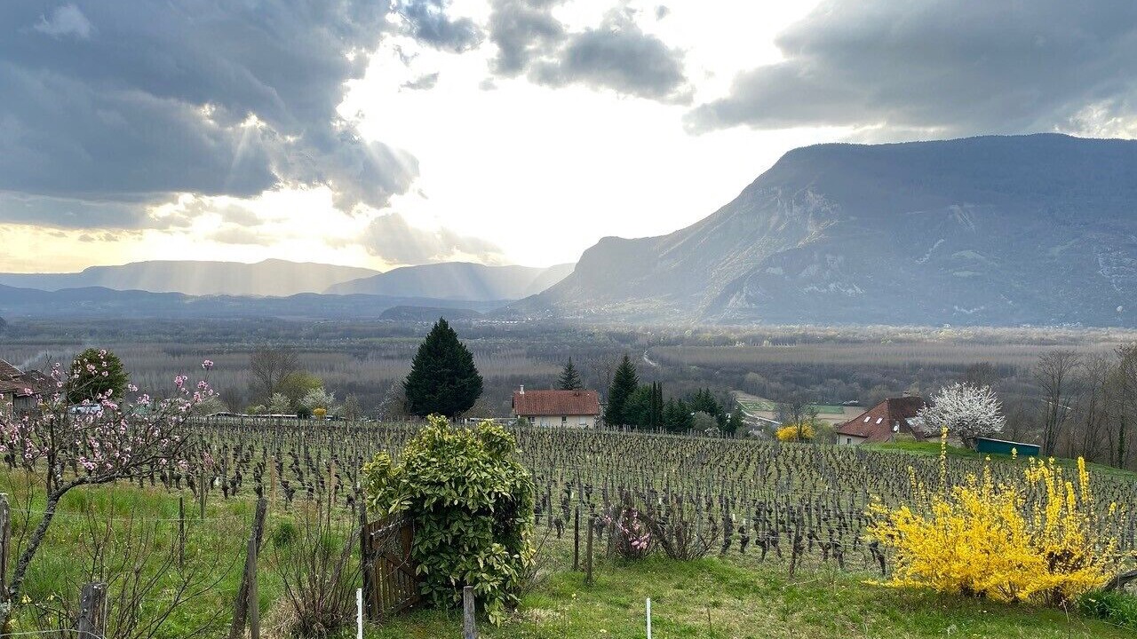 Photo of Others in Ruffieux