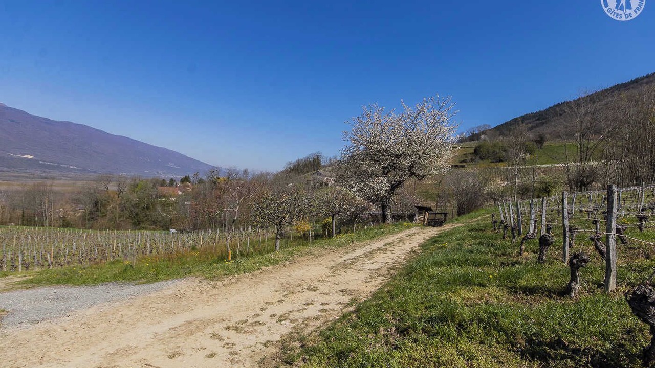 Photo of Others in Ruffieux