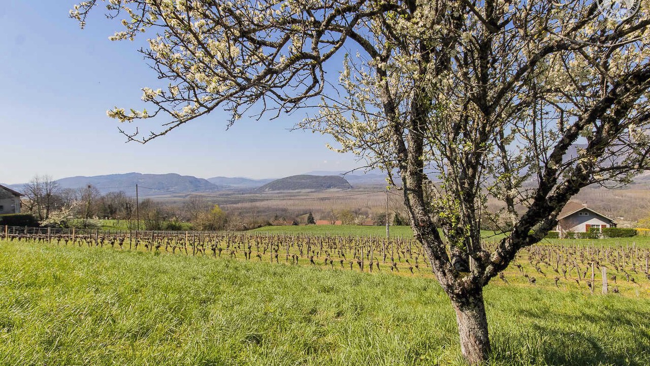 Photo of Others in Ruffieux