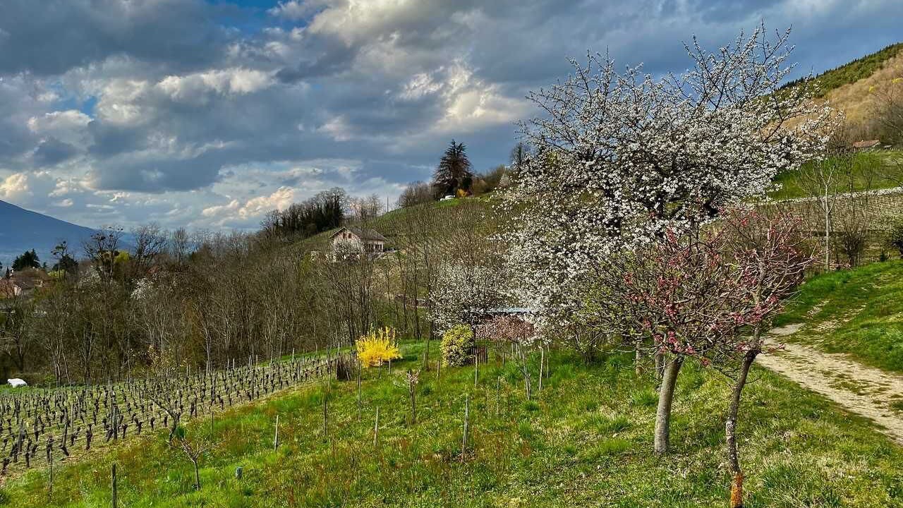 Photo of Others in Ruffieux