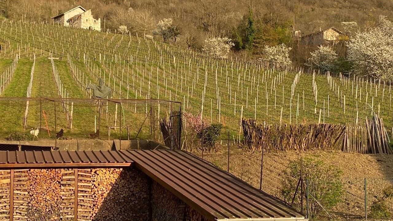 Photo of Others in Ruffieux