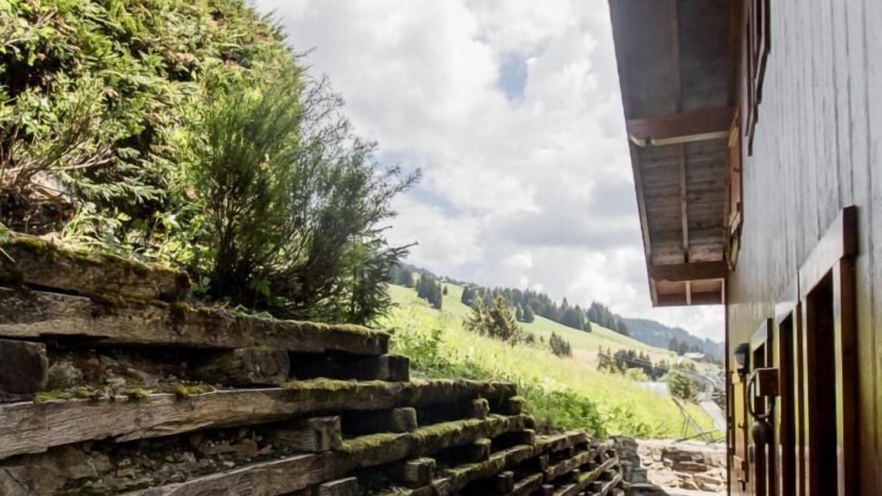 Photo of Outdoor in Bisanne 1500