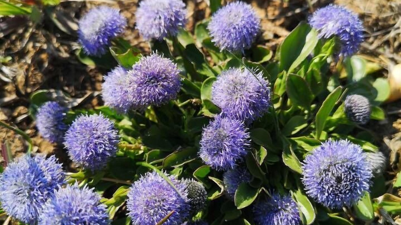 Photo of Outdoor in Montvernier