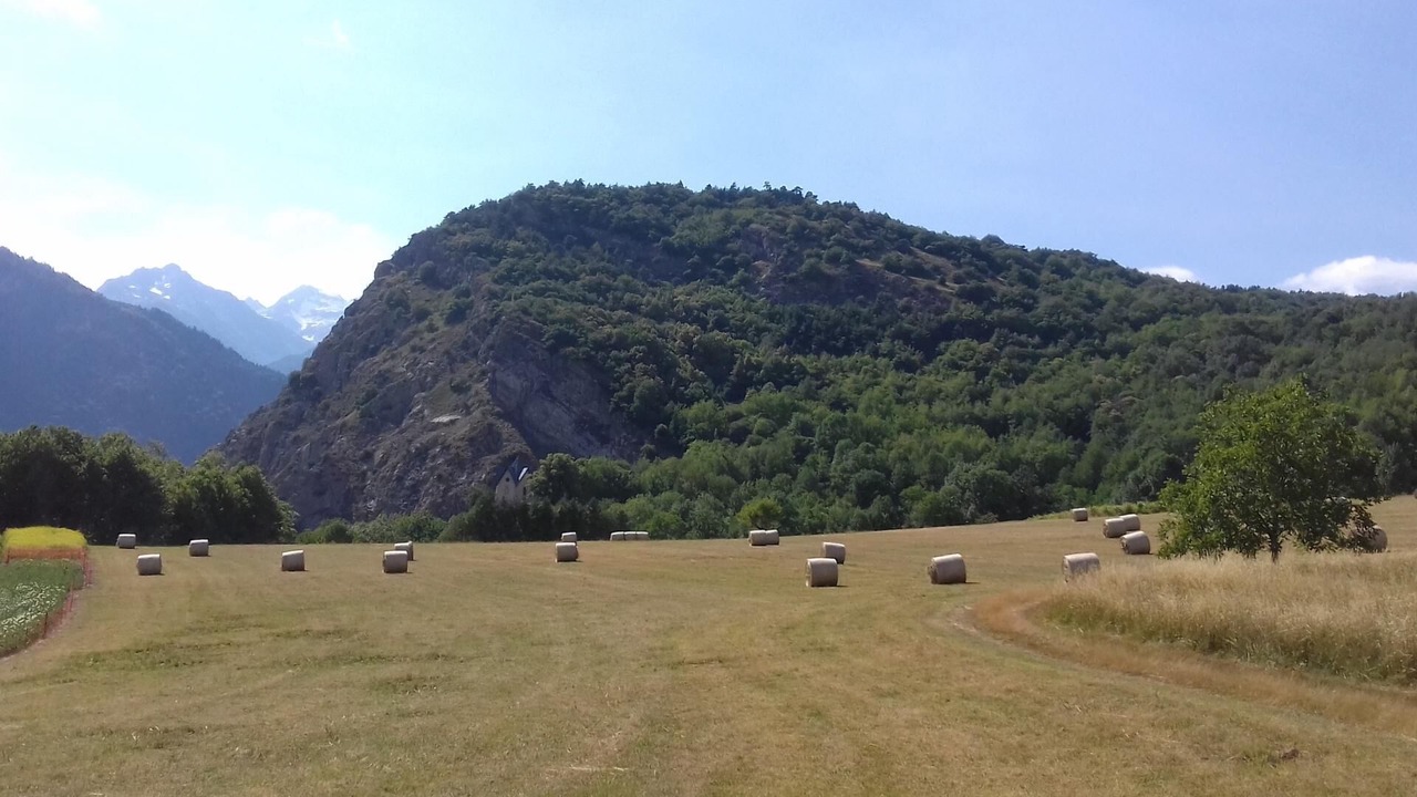 Photo of Outdoor in Montvernier