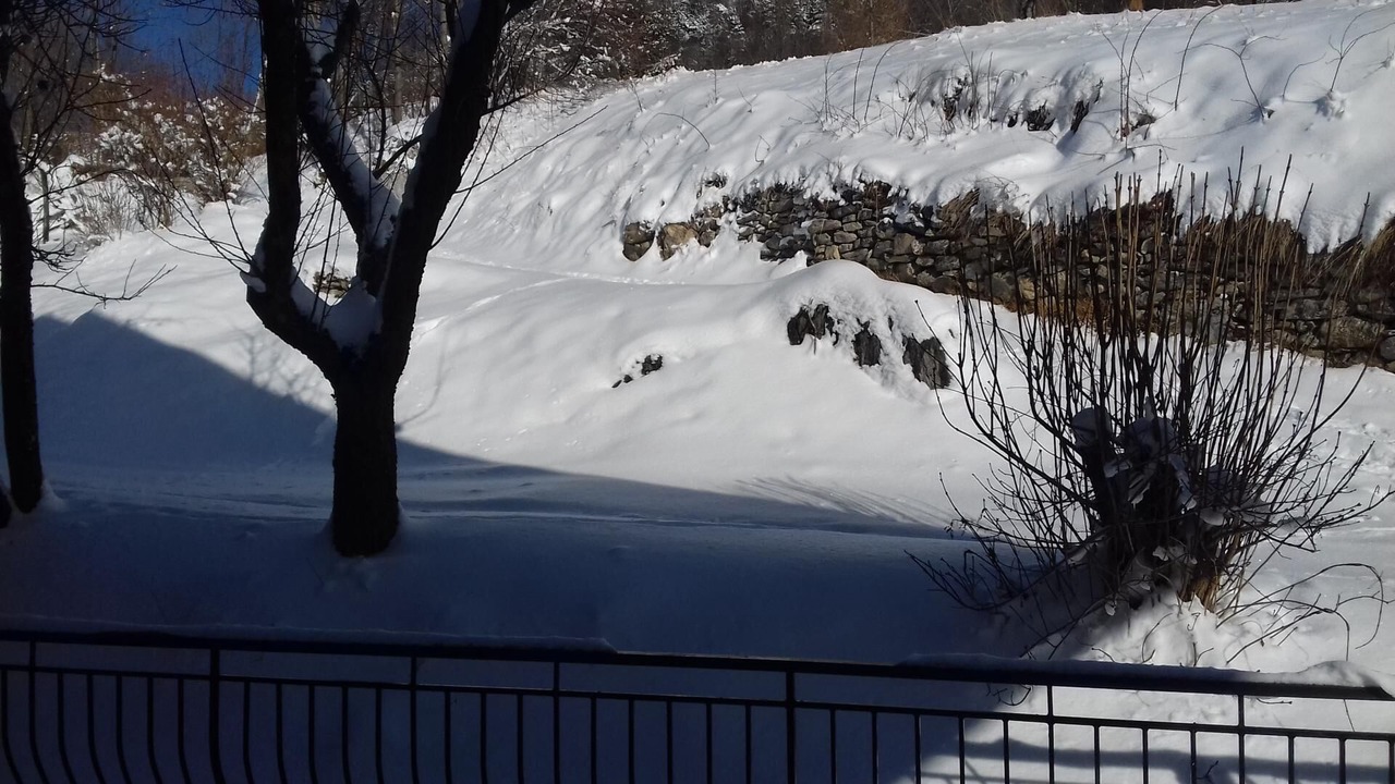Photo of Outdoor in Montvernier