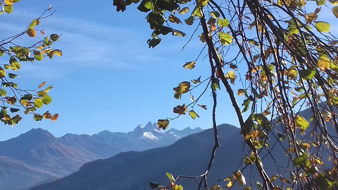 Photo of Others in Montvernier