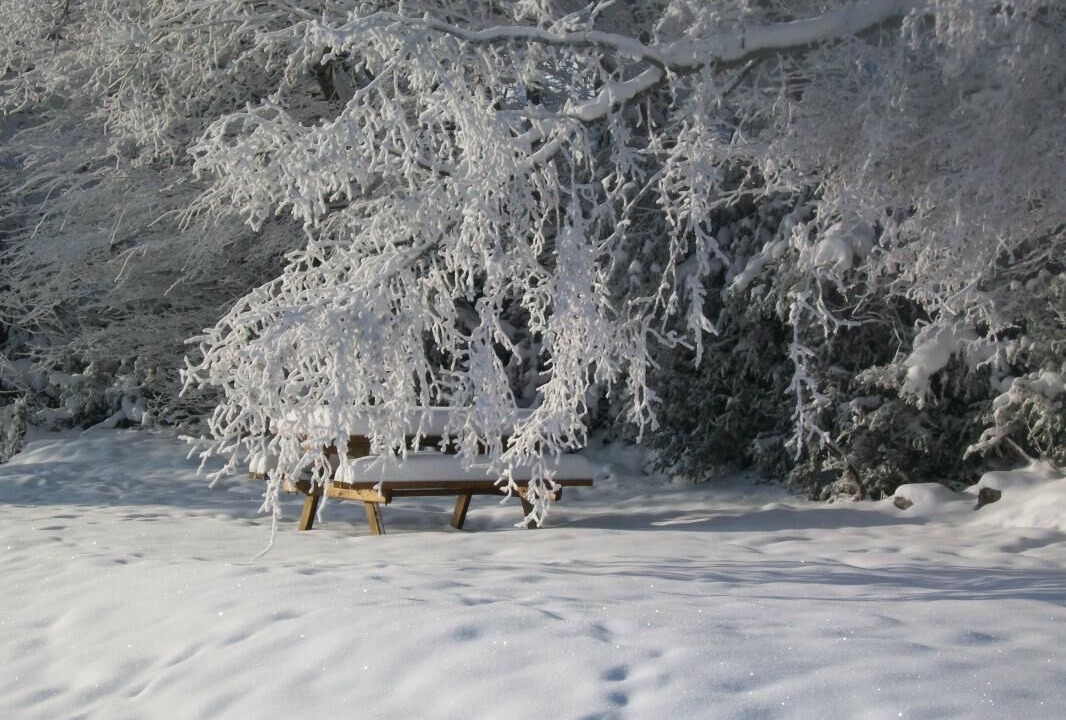Photo of Outdoor in La Thuile