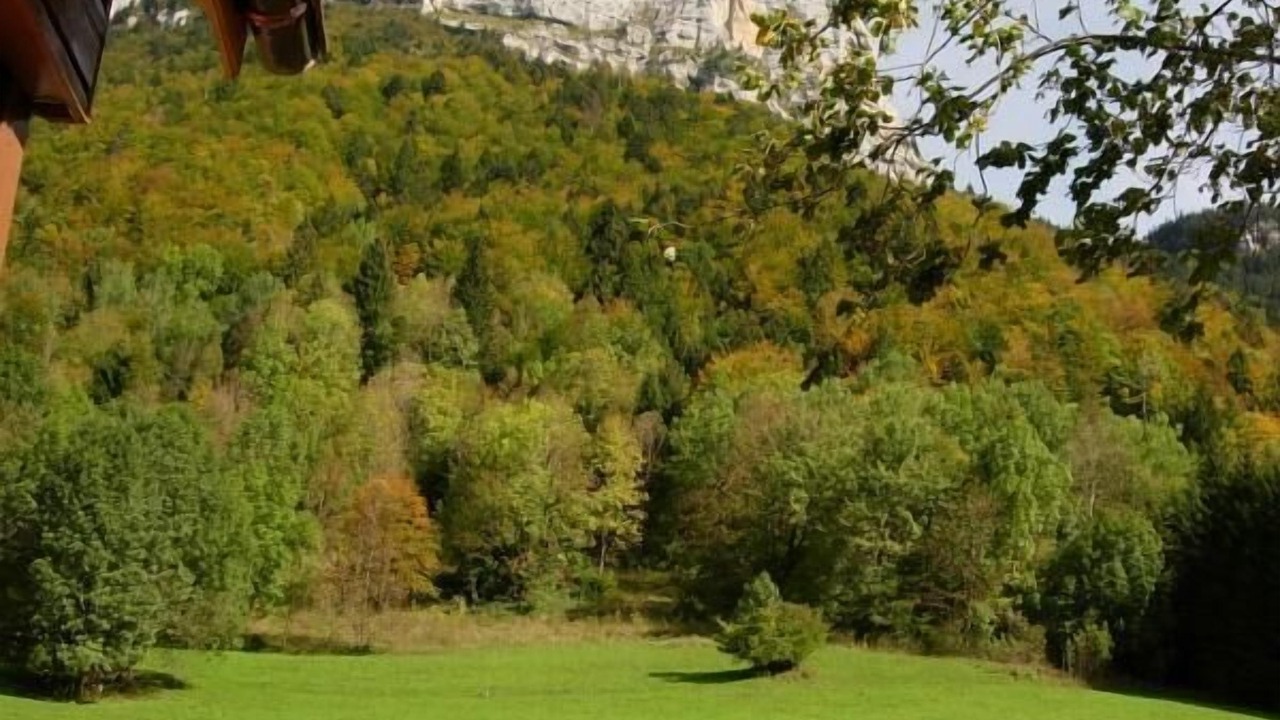 Photo of Outdoor in Saint-Meme d'en Haut