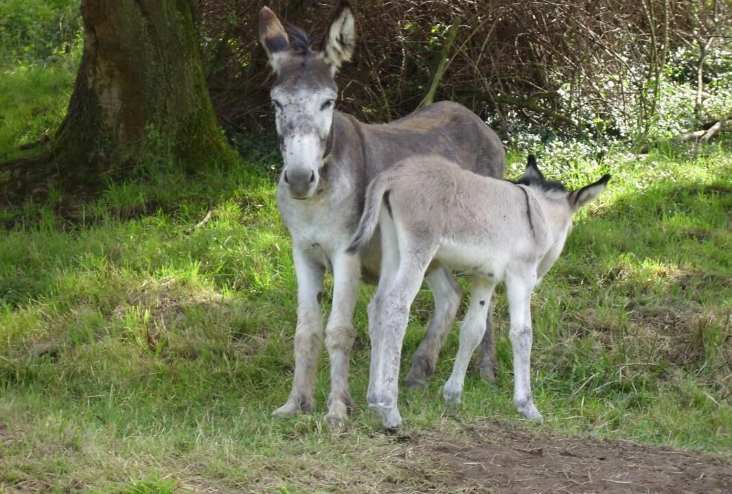 Photo of Others in Myans