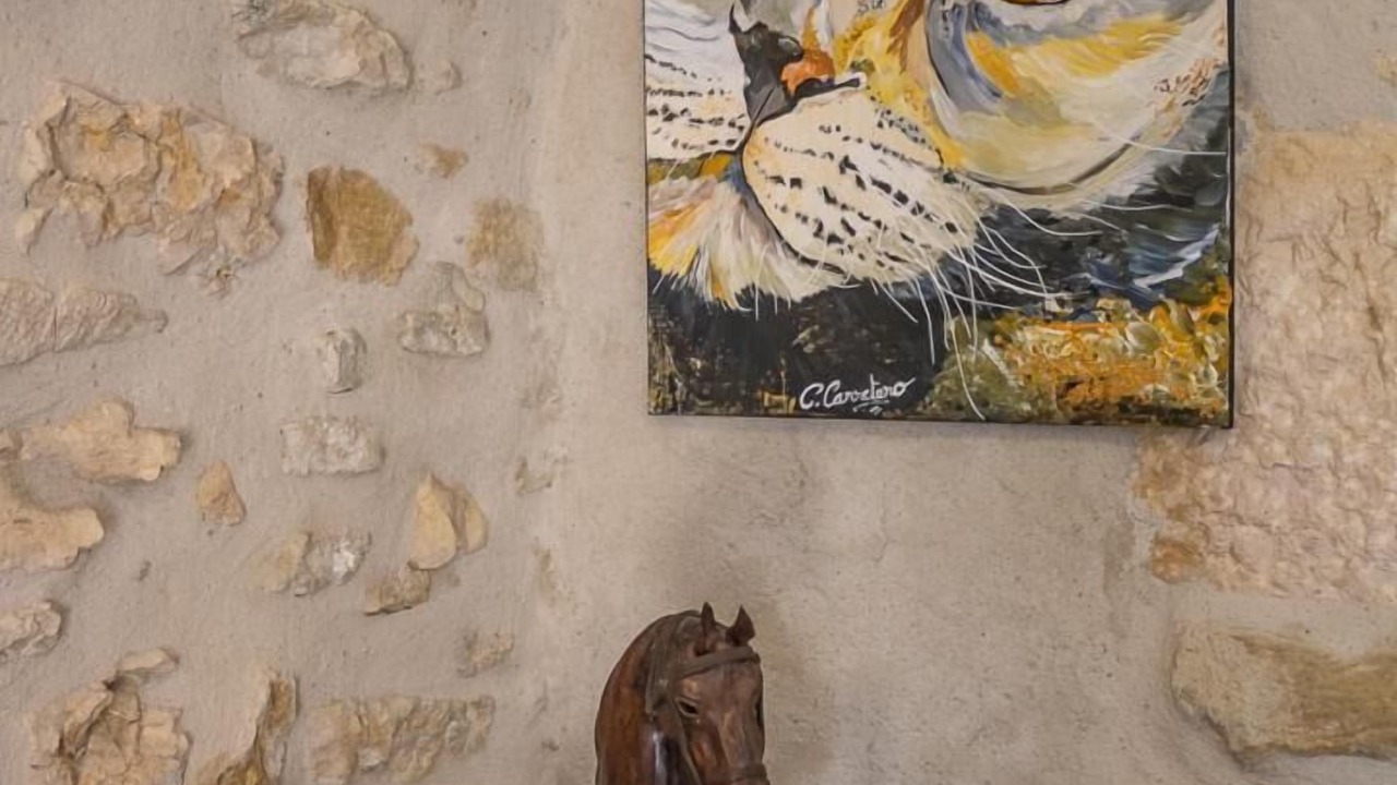 Photo of Others in Traize