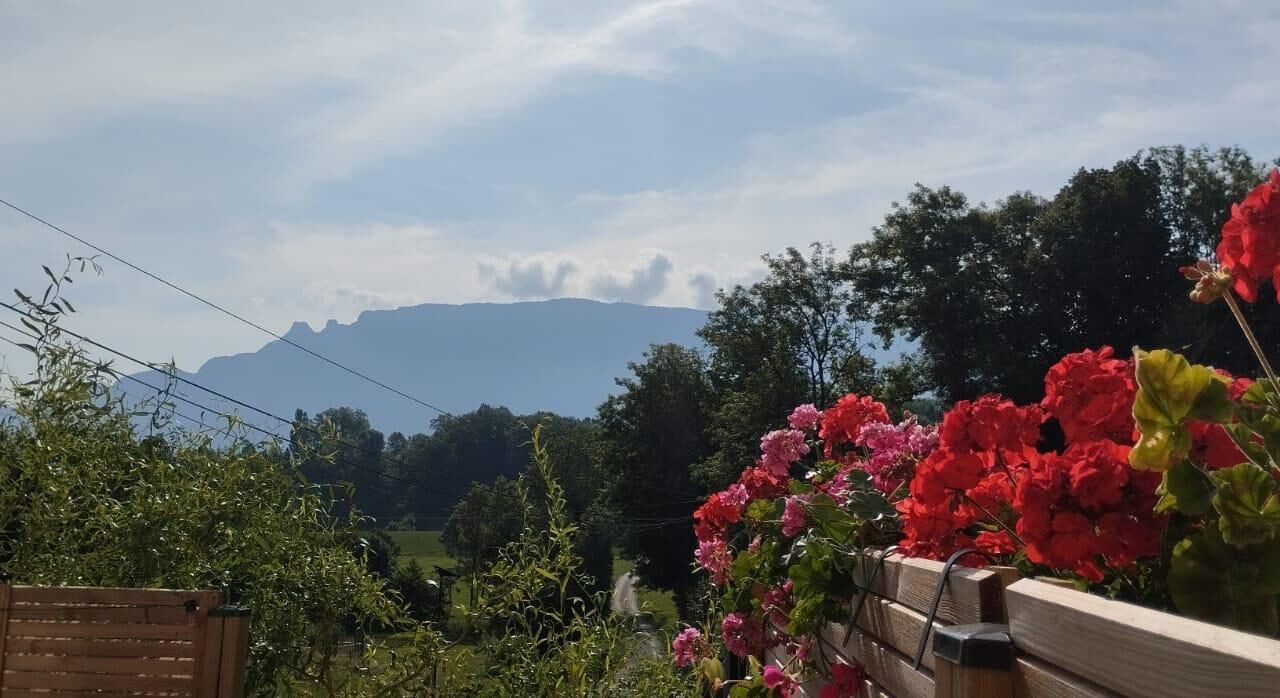 Photo of Others in Traize