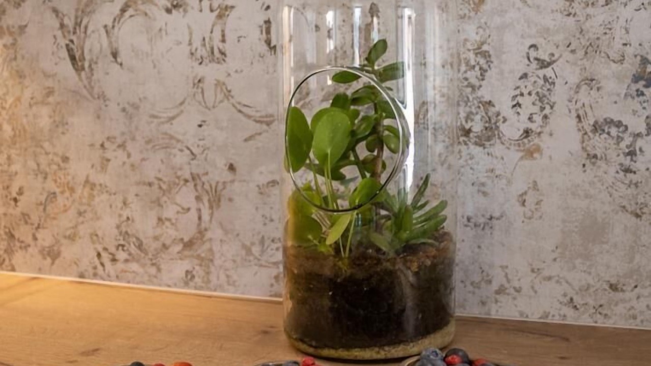 Photo of Others in Traize