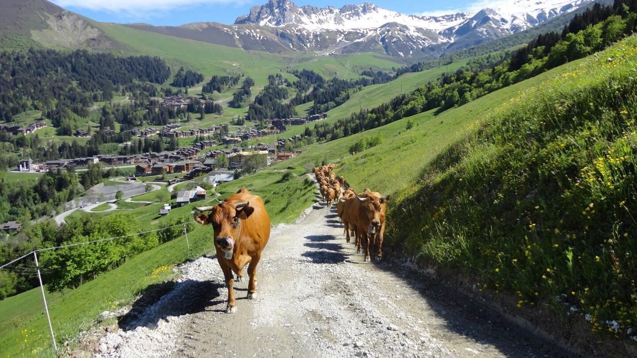 Photo of Outdoor in Valmorel