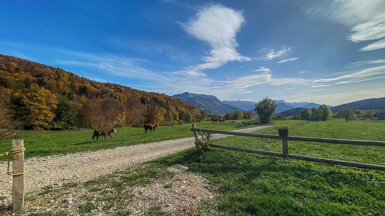 Photo of Others in Entremont-le-Vieux