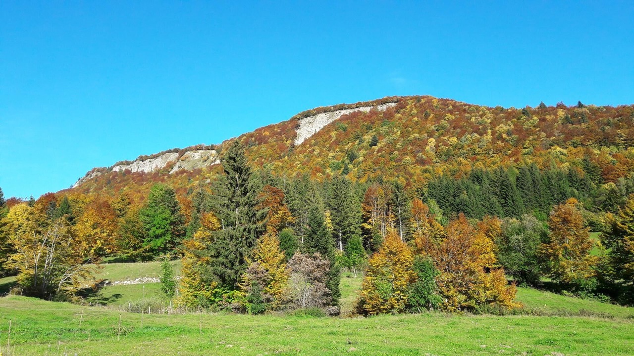 Photo of Outdoor in Entremont-le-Vieux